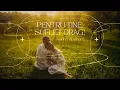 Download Lagu Andrei Abriham - Pentru tine, suflet drag!❤️