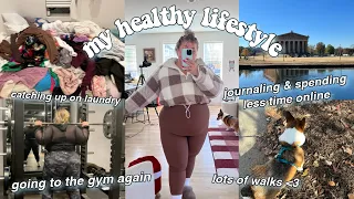 MY CURRENT HEALTHY LIFESTYLE thats actually sustainable lol