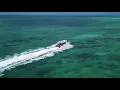 PRAIAS LINDAS CONFIRA VOCÊ MESMO