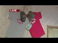 Mighty gear online orders
