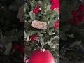 Polar express ticket
