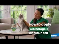 How to Apply Advantage II to Your Cat