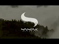 Roger Mills - Behind the Wall (Original Mix)