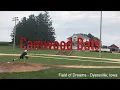 Camwood Bats Review