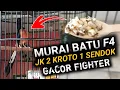 Download Lagu YUK GAS !!! MERAWAT MURAI BATU F4 BONGKAR MATERI CARA MURAI BATU GACOR NGADU