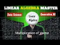 Vector Multiplication for Data Science ll code to ceo