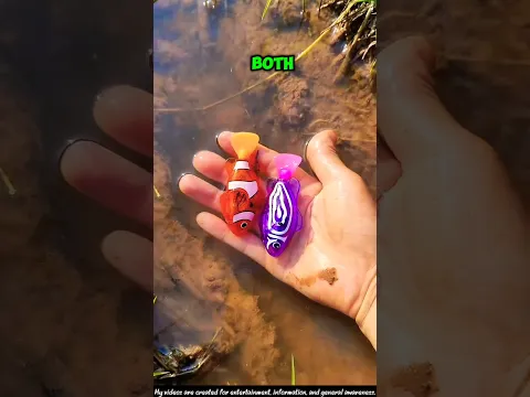 He Caught a Beautiful Fish… But It Was FAKE! 😱🐟