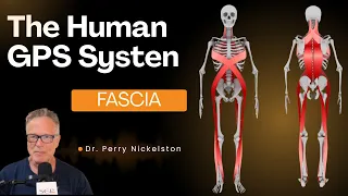 Fascia The Human GPS System