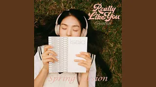 Really Like You Spring Version 