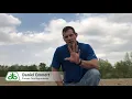 Proper Corn Planting Depth Explained