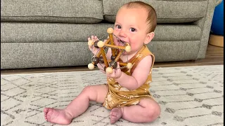 Manhattan Toy Artful Skwish Rattle - Perfect Baby Motor Skill Activity Toy for Infants Toddlers