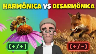 RELAÇÕES ECOLÓGICAS - Harmônicas e Desarmônicas | ANIMAÇÃO