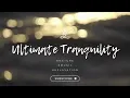 3 Hours Bonfire by the Beach with Relaxing Guitar for Stress Relief, Relaxation, & Sleep [03/13/23]