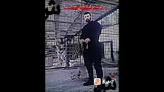 وحيد مراد زعيم مافيا ايران وحيد مرادي وحيد مرادي 