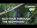 Zip Line Eco-Tour through the Redwoods of Santa Cruz