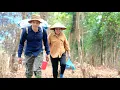 Download Lagu Country life in the heart of the city. Growing corn and enjoying family meals