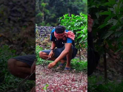 গরিবের জীবন ❤️