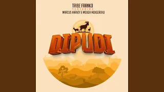 Dipudi (feat. Mough Mokgerehli)