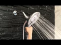 Delta In2ition Two-in-One Shower Head