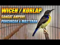 Lagu MASTERAN KORLAP GACOR FULL TEMBAKAN RAPAT PANJANG - PANCINGAN WICEH AGAR BUNYI EMOSI \u0026 CEPAT NEMBAK