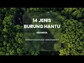 Download Lagu 14 JENIS BURUNG HANTU DI INDONESIA ♪ SUARA BURUNG HANTU