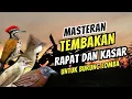 Download Lagu Masteran Tembakan Rapat dan Kasar