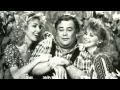 Hee Haw Documentary