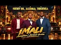 Fireboy DML, JAZZWRLD & Thukuthela – IMALI (Amapiano / Afrobeat Version)