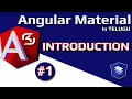 in Telugu Introduction