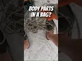 DISGUSTING DREADED WEIGHTED BAG What s Inside Body Parts Dead Pet Or Worse Found in Ithaca NY