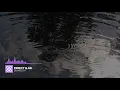 Direct & AK - Sehnsucht