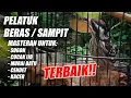 PENCETAK BURUNG JUARA!! MASTERAN PELATUK BERAS SAMPIT PANJANG BUAT SOGON CUCAK IJO MURAI BATU CENDET