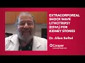 Dr Seftel Explains What is Extracorporeal Shock Wave Lithotripsy ESWL for Kidney Stones