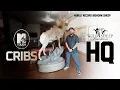 Download Lagu Is This the Biggest Bighorn Sheep Ever? | Inside the Wild Sheep Foundation HQ