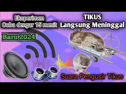 Download MP3 Suara Pengusir Tikus paling ampuh 2024 Buktikan sendiri