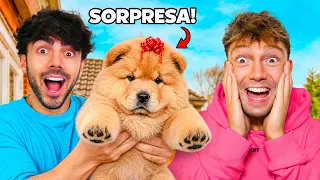 FEDE ME REGALO UN PERRO!