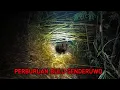 Download Lagu Live Misteri‼️Misi Terberat, Perburuan Raja Genderuwo Hutan Bambu Misterius