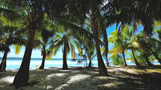 انشوده دينيه لمشاري راشد العفاسي لما نسمع اسم النبي  انشوده دينيه لمشاري راشد العفاسي لما نسمع اسم النبي