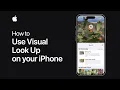 How to use Visual Look Up on your iPhone Apple Support