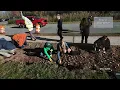 The Daffodil Project in Sullivan County is in Full Bloom
