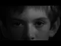 Rogue Wave - Let My Love Open the Door (Official Music Video)