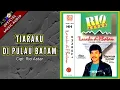 Download Lagu TIARAKU DI PULAU BATAM - RIO ASTAR (OFFICIAL MUSIC AUDIO)