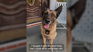 CSX Police K-9 Johnny