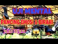 PANCINGAN EMOSI/BIRAHI MURAI batu SIMULASI GANTANGAN uji MENTAL murai MUDA/BAHAN.
