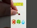 WHAT DO LADYBUGS LOVE Let s Find Out Together
