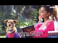 Ariana Grande - Everytime