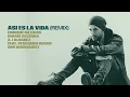 ASI ES LA VIDA (Remix - Audio)