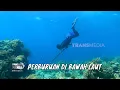 Download Lagu Berburu Ikan Penghuni Perairan Kepulauan Selayar | MANCING MANIA STRIKE BACK (05/07/25) Part 1