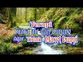 Download Lagu Masteran burung dengan terapi gemericik air dan suara burung seperti di hutan
