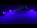 Download Lagu Menno de Jong (FULL SET) @ Luminosity Trance Gathering 26-02-2016